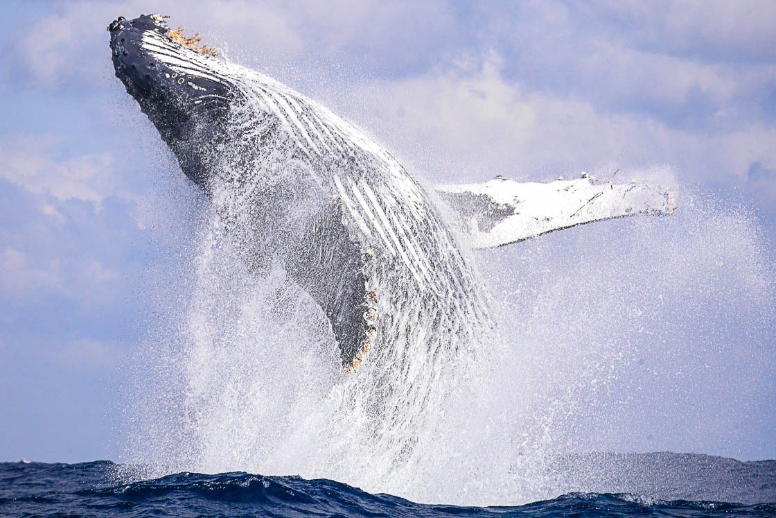 🌊 난바라센조지키 해안 (난바라센조이와카이간) 이미지 5